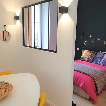 Superbe Hypercentre Apartment Nice